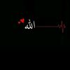 elnathan0509