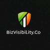 bizvisibility.co