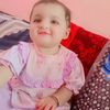 shah313king