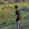 somlr37