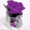 chichi.rose7