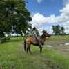 alexander.acevedo330