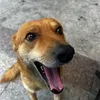 importantesparaseudia