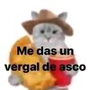 me_das_un_vergal_de_asco