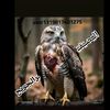 user1319817401275