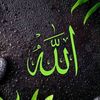 naglaa.mohamed54