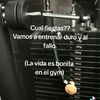 el.fish27