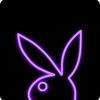 briannapolanco273