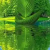 cddvfgf556uu56
