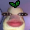lenlenvldezzz