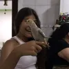 s.arahcomaga