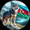 user5918070660299