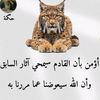 user7116631367261