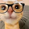 lyyzzyvoo