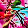 wonderfulday444