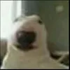 userqxe3s4n7zw