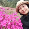 hoanggam.mm