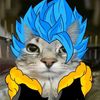 superlegendsdbz
