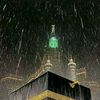 alaa.adina.ebrahim