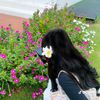 bhojpuri_lover.1