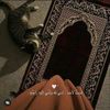 mariamibrahim1587