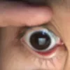 tuibjdth