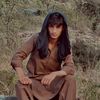 salarr_313
