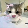 tataaa_475