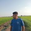 user86160707962201