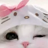 cherrylynlovely
