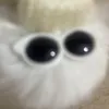 kimhue7931