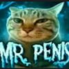 mr_penis_the_cat