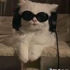 hello_2246j