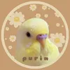 user9245052810997