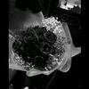 shimaa.naser14
