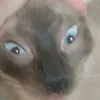 chloeizzainabonti