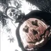 eu_andre10