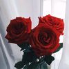 user4747070785269