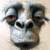 femian7