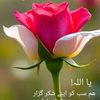 raoabid618