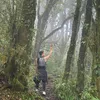 dapxenghenhac
