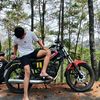 n_opall_