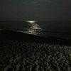 masa_4m