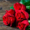 fatma.abid4