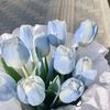 i_love_ivk_