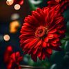 loveinghart2