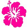 hibiscusimpretty