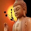 tien.minh1810