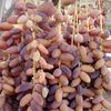 zynebuo.mohemed