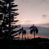 its.faa2626